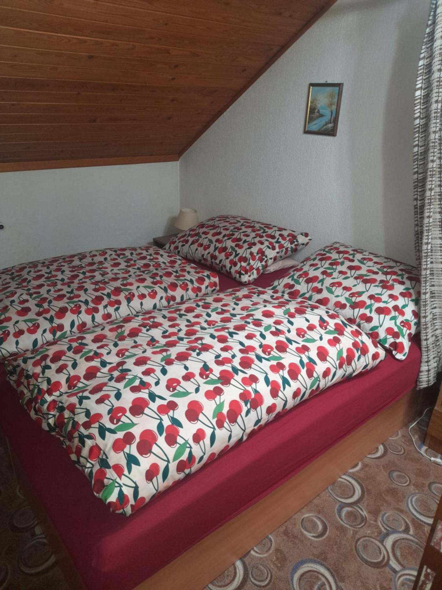 Penzion Krusnohorka Tatrovice Kültér fotó